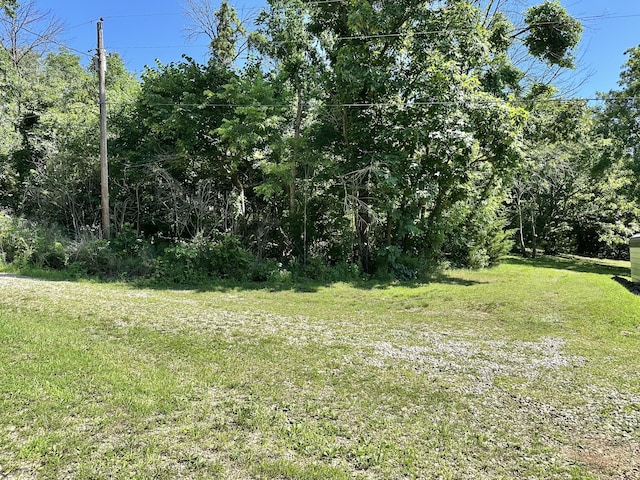 25419 County Road 327, Urbana, MO 65767 - view of green lawn