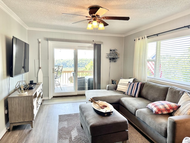 25419 County Road 327, Urbana, MO 65767 - living area featuring crown molding, healthy amount of natural light, wood finished floors, a textured ceiling, and ceiling fan