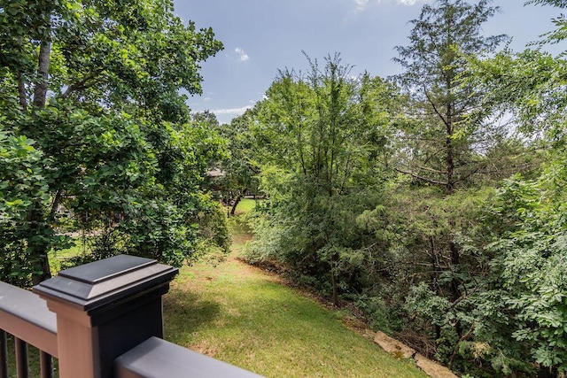 148 Belgian Rd, Branson West, MO 65737 - photo 53