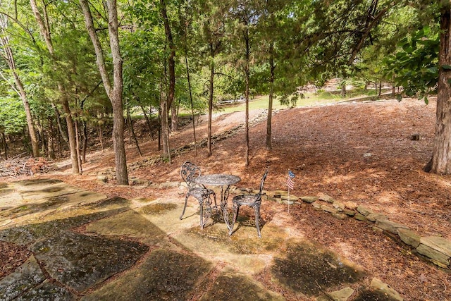 148 Belgian Rd, Branson West, MO 65737 - photo 43