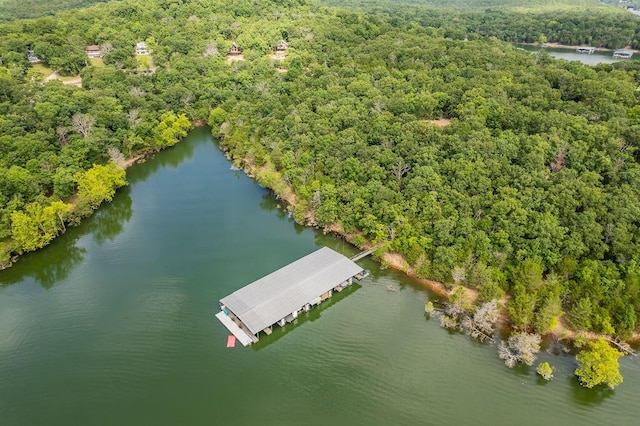 148 Belgian Rd, Branson West, MO 65737 - photo 59