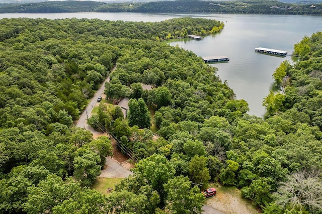 148 Belgian Rd, Branson West, MO 65737 - photo 58