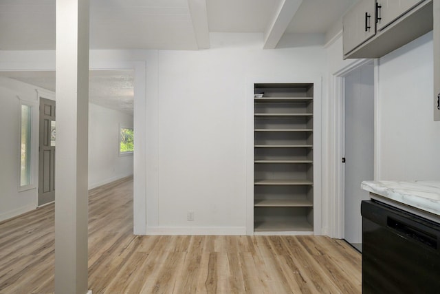 1169 S Miller Ave, Springfield, MO 65802 - view of closet