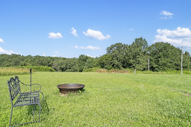 531 Plateau Dr, Marshfield, MO 65706 - view of green lawn with a forest view