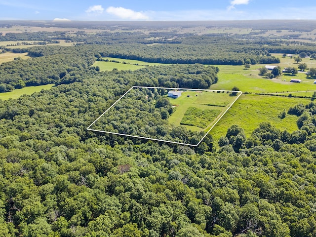 531 Plateau Dr, Marshfield, MO 65706 - view of rural area featuring property boundaries highlighted and a forest
