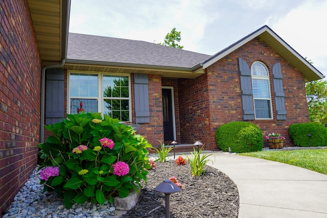 1129 S Erika Ave, Springfield, MO 65802 - entrance to property featuring a shingled roof and brick siding