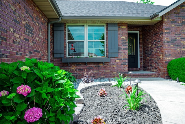 1129 S Erika Ave, Springfield, MO 65802 - doorway to property featuring a shingled roof and brick siding
