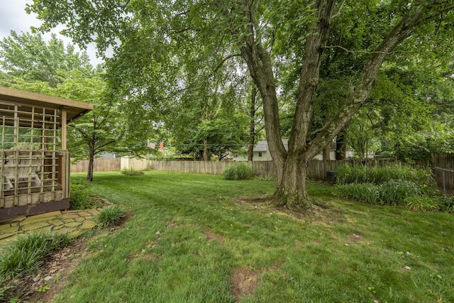 1820 E Jacqueline St, Springfield, MO 65804 - view of fenced backyard