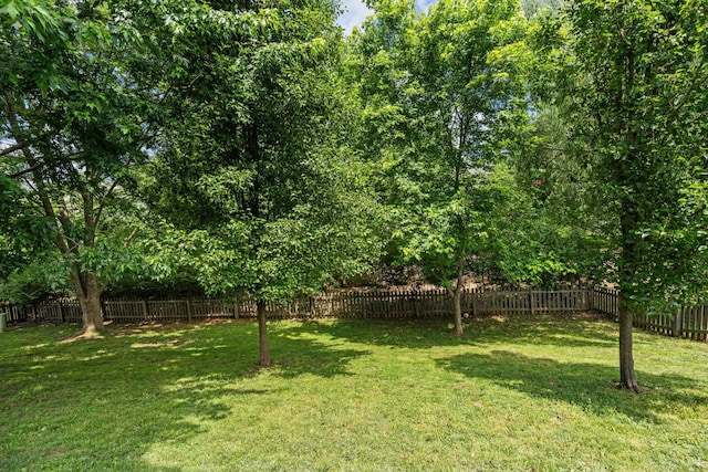 743 E Gallup Hill Rd, Nixa, MO 65714 - photo 50