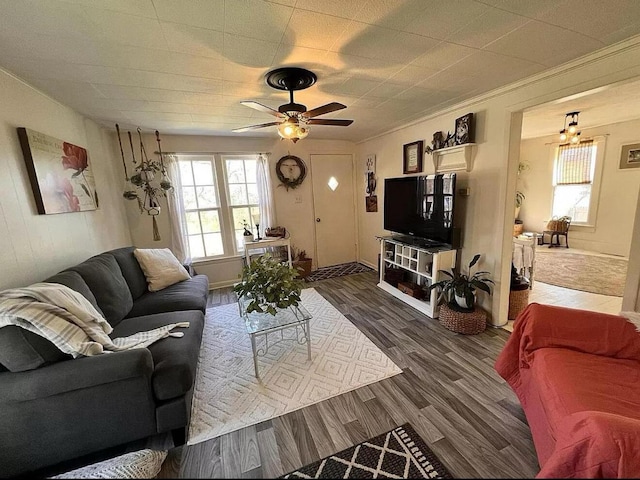 135 Coulter Ln, Forsyth, MO 65653 - living area featuring wood finished floors and a ceiling fan