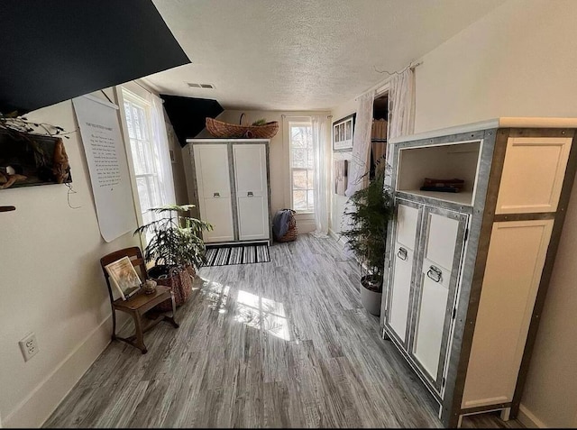 135 Coulter Ln, Forsyth, MO 65653 - hallway featuring wood finished floors and a textured ceiling