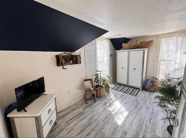 135 Coulter Ln, Forsyth, MO 65653 - living area with a textured ceiling, light wood finished floors, and lofted ceiling