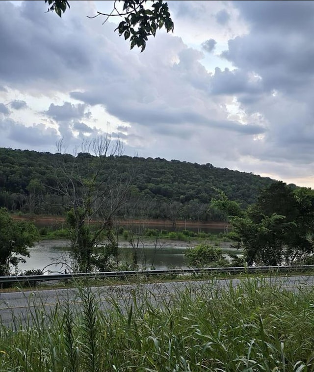 135 Coulter Ln, Forsyth, MO 65653 - view of mountain backdrop with a heavily wooded area and a large body of water