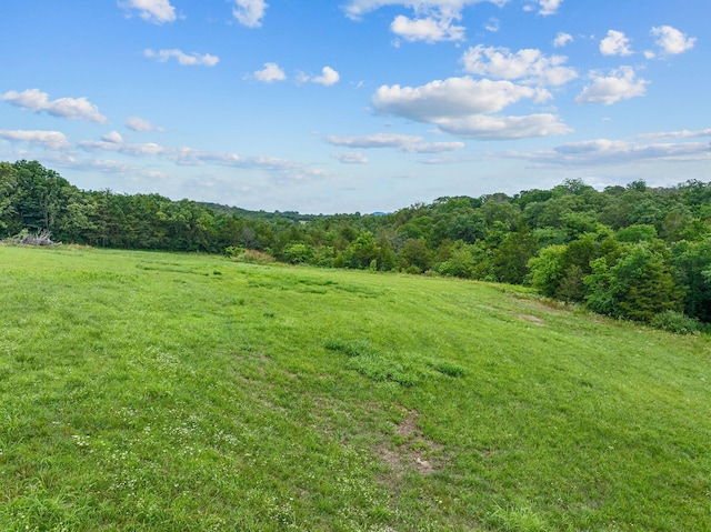 377 Washington Rd, Shell Knob, MO 65747 - photo 9