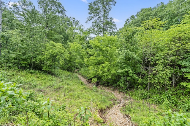 438 Ranch Dr, Rogersville, MO 65742 - photo 3