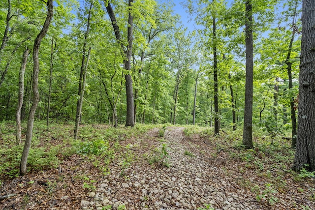 438 Ranch Dr, Rogersville, MO 65742 - photo 8