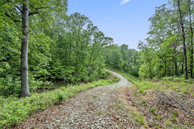 438 Ranch Dr, Rogersville, MO 65742 - photo 6