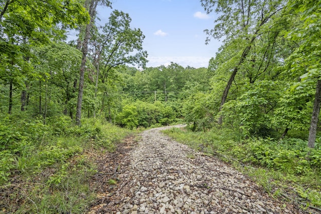 438 Ranch Dr, Rogersville, MO 65742 - photo 4