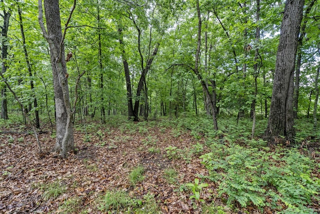 438 Ranch Dr, Rogersville, MO 65742 - photo 9