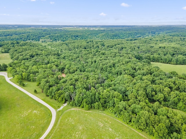 438 Ranch Dr, Rogersville, MO 65742 - photo 14