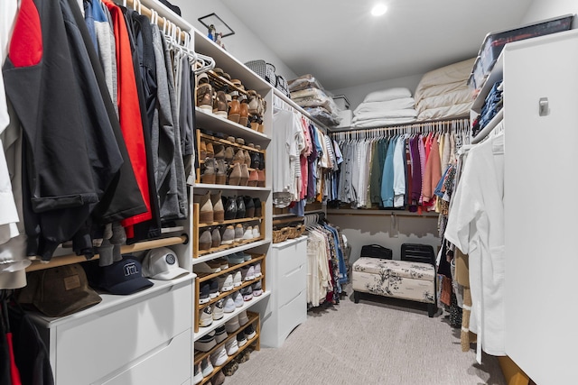 858 E Edenmore Cir, Nixa, MO 65714 - spacious closet with carpet