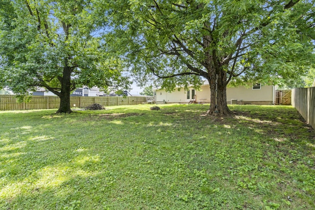 3006 N Pierce Ave, Springfield, MO 65803 - photo 23