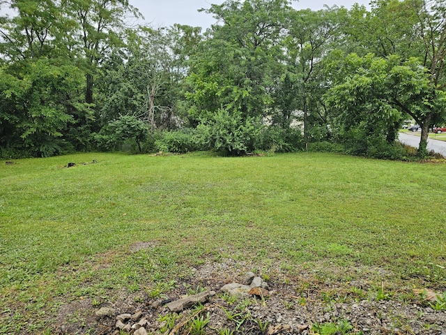 1215 Jefferson Ave, West Plains, MO 65775 - photo 19