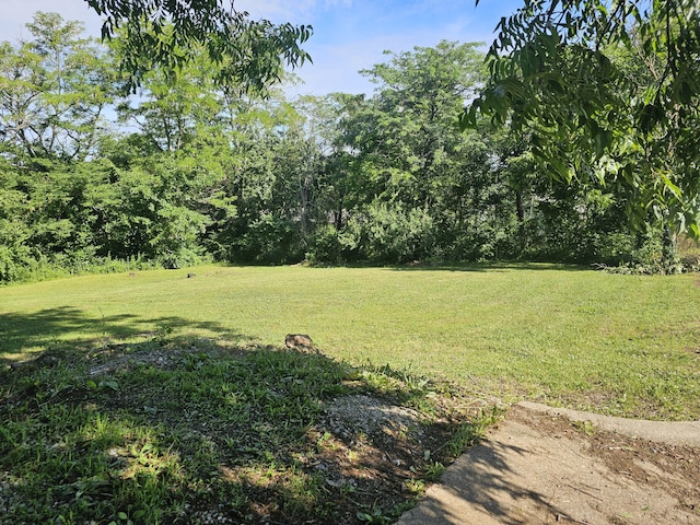 1215 Jefferson Ave, West Plains, MO 65775 - photo 14