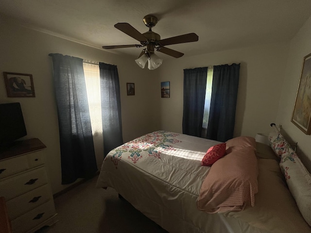 2453 Severs Rd, Seymour, MO 65746 - photo 17