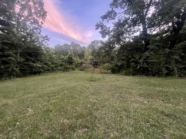 2453 Severs Rd, Seymour, MO 65746 - photo 37