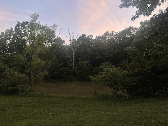 2453 Severs Rd, Seymour, MO 65746 - photo 38