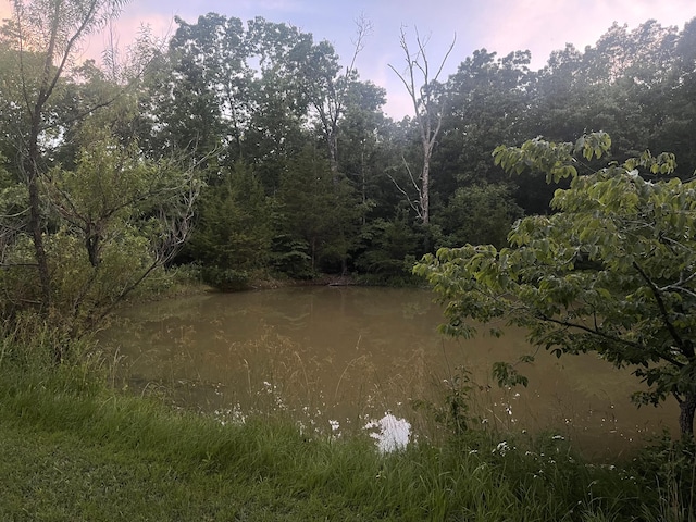 2453 Severs Rd, Seymour, MO 65746 - photo 39
