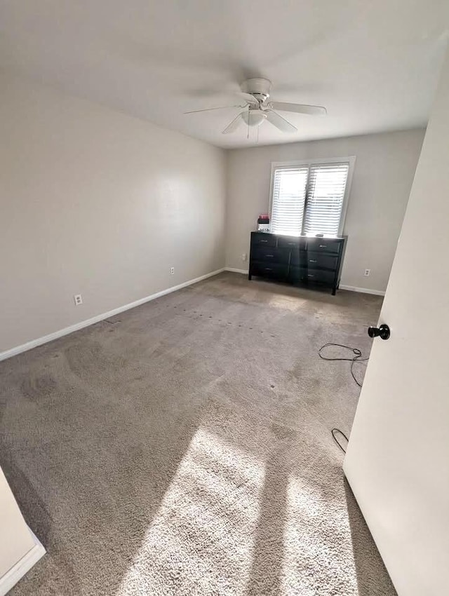 215 W Edgewood St, Springfield, MO 65807 - photo 18