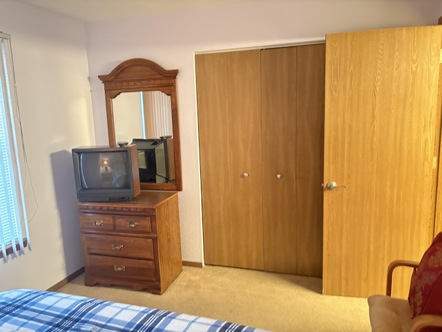 3 Memory Ln Unit 1, Branson, MO 65616 - bedroom featuring a closet and carpet flooring