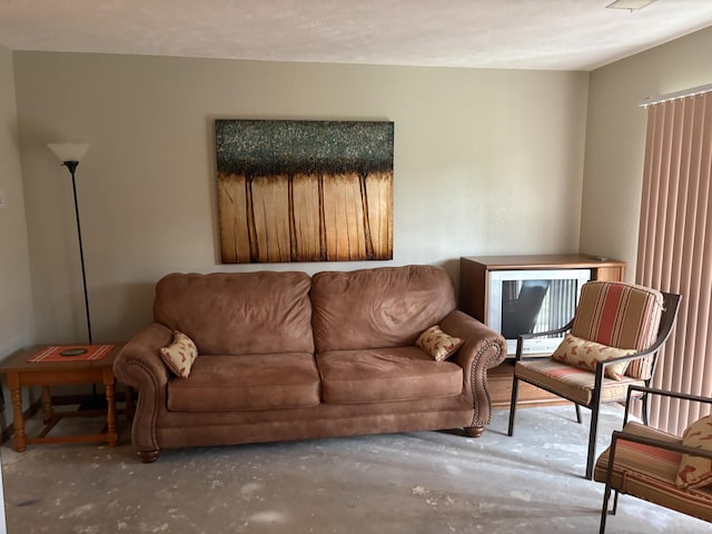 3 Memory Ln Unit 1, Branson, MO 65616 - living area with concrete floors