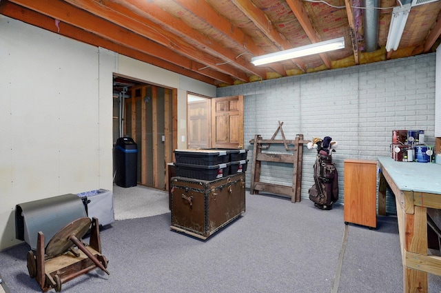 311 Northview Rd, Nixa, MO 65714 - unfinished below grade area with carpet floors and a workshop area