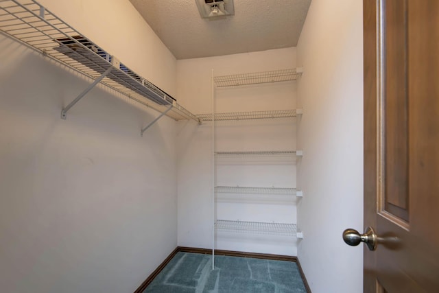 3501 E Cooper Blvd, Springfield, MO 65802 - view of spacious closet