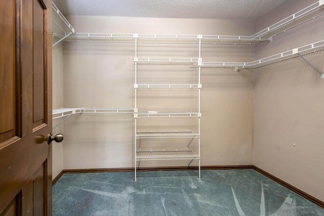 3501 E Cooper Blvd, Springfield, MO 65802 - walk in closet featuring carpet flooring