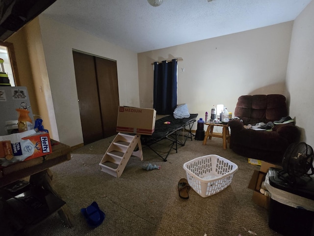 445 Monroe St, Thayer, MO 65791 - view of carpeted home office