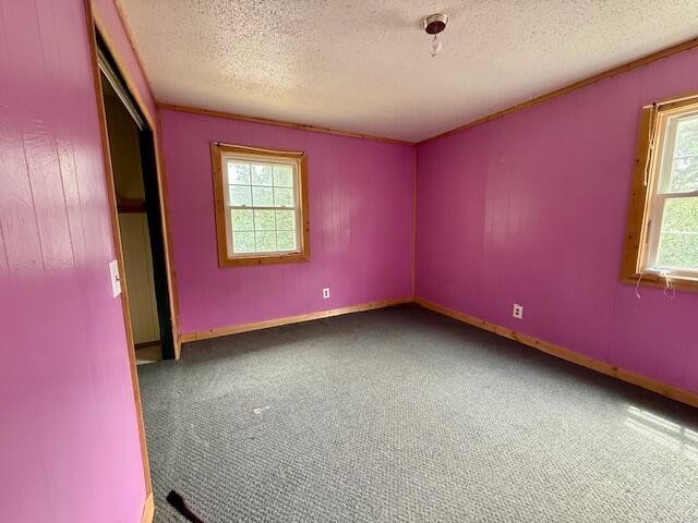 117 Hillcrest Dr, Summersville, MO 65571 - photo 13