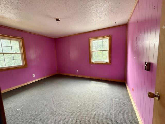 117 Hillcrest Dr, Summersville, MO 65571 - photo 12