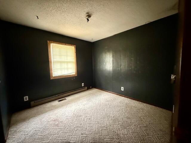 117 Hillcrest Dr, Summersville, MO 65571 - photo 10