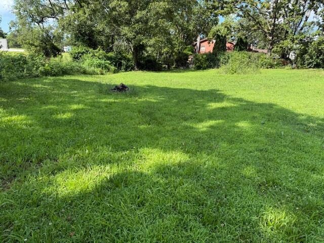 117 Hillcrest Dr, Summersville, MO 65571 - photo 21