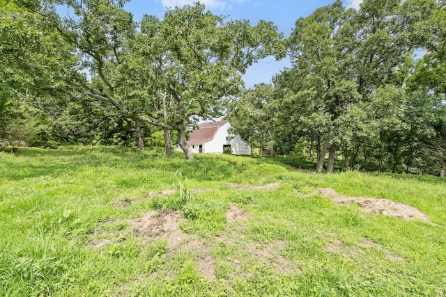 595 Johns Ford Rd, Sparta, MO 65753 - view of yard