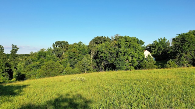 595 Johns Ford Rd, Sparta, MO 65753 - view of tree filled area