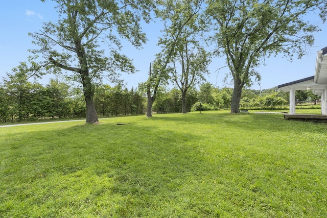 595 Johns Ford Rd, Sparta, MO 65753 - view of grassy yard