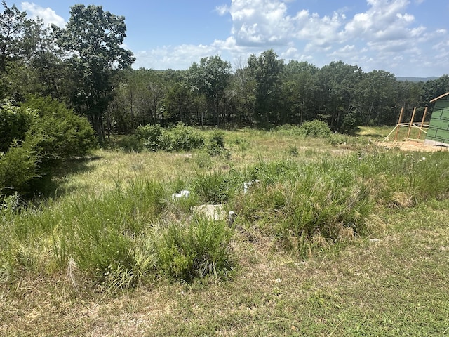 181 Silver Sunset Ln, Kimberling City, MO 65686 - photo 6