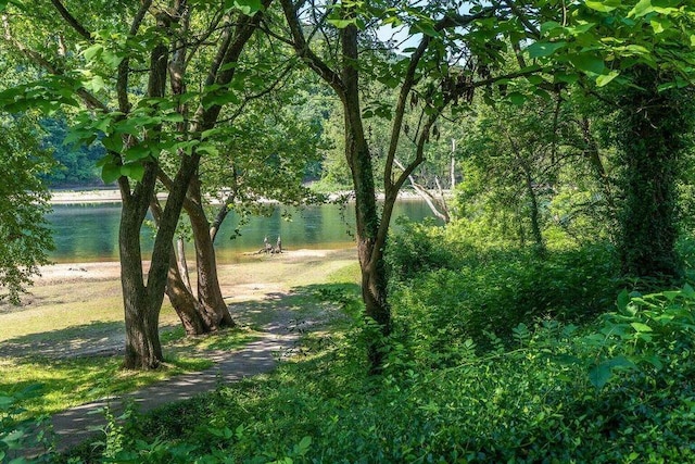 123 Bunker Ridge Dr Unit 7, Branson, MO 65616 - view of yard featuring a water view