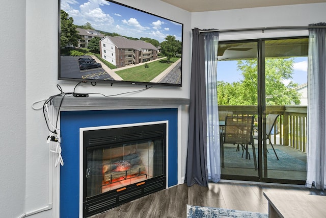 123 Bunker Ridge Dr Unit 7, Branson, MO 65616 - detailed view of wood finished floors and a glass covered fireplace