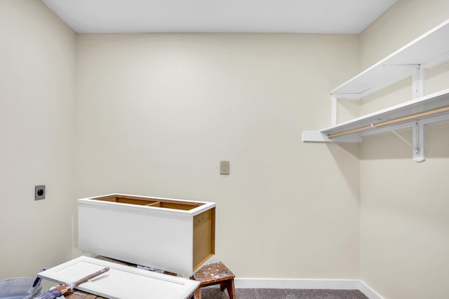 707 N College Ave, Republic, MO 65738 - washroom with electric dryer hookup and carpet floors